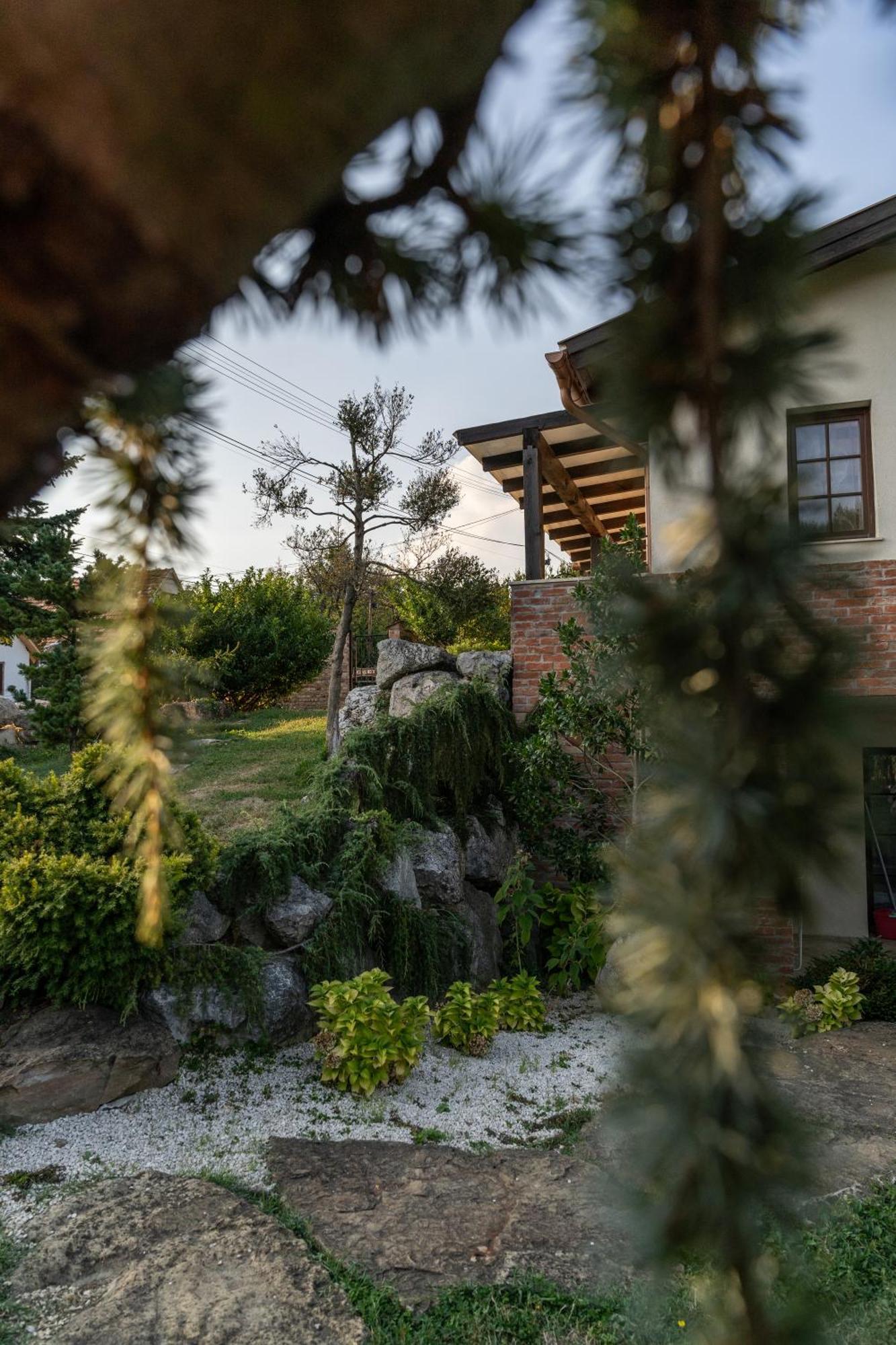 Villa Garden Zalaegerszeg Exterior photo