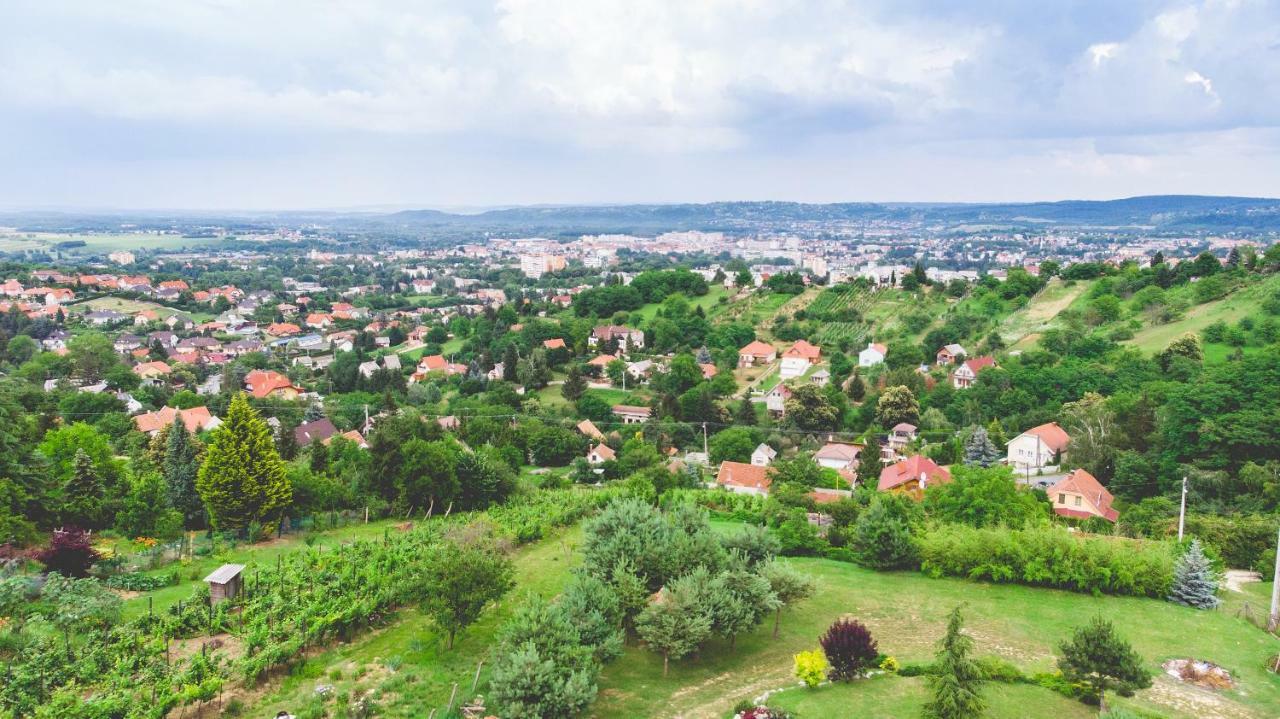 Villa Garden Zalaegerszeg Exterior photo