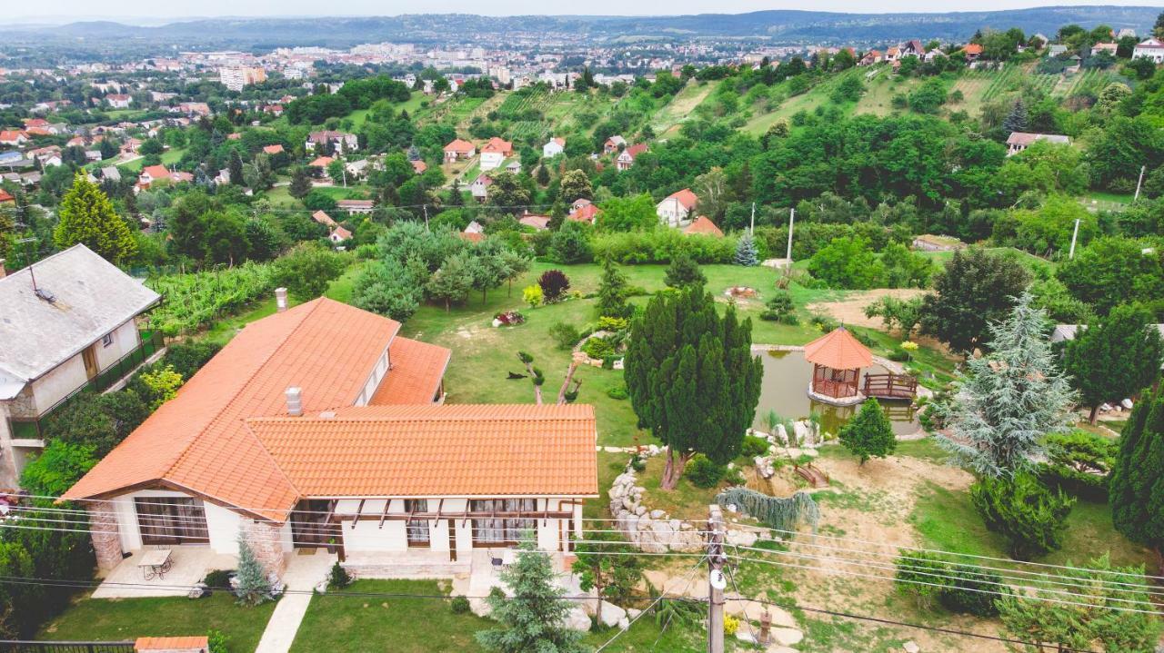 Villa Garden Zalaegerszeg Exterior photo